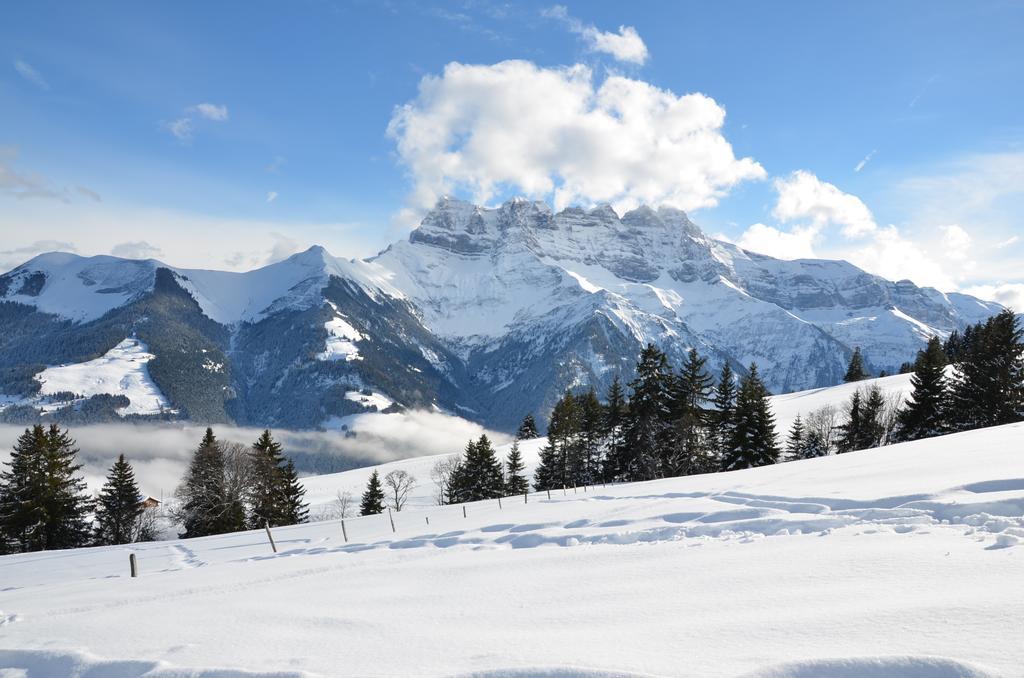 Le Chalet De L'Atelier - Le Nord Champéry Oda fotoğraf